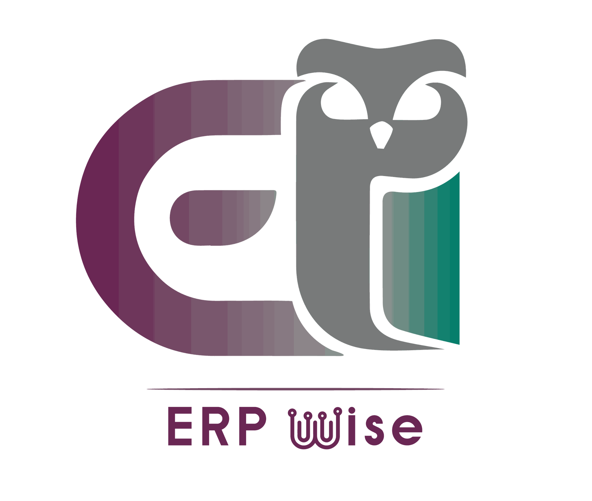 ERPWISE for odoo & websites